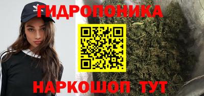 apvp Кунгур