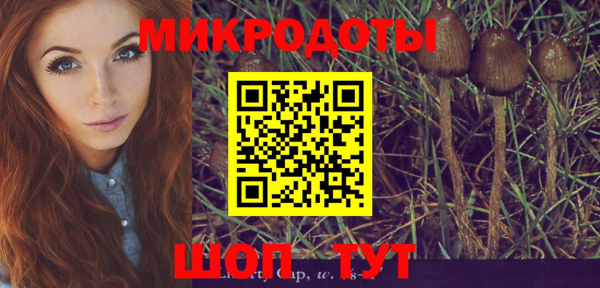 как найти наркотики  Вход с VPN  Каменск-Шахтинский  Галлюциногенные грибы Psilocybine cubensis 