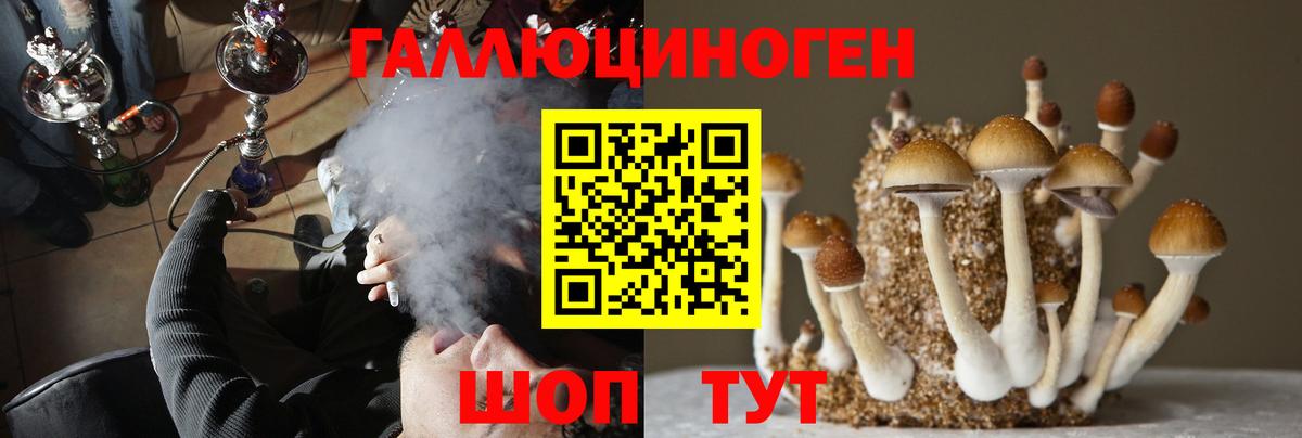 Псилоцибиновые грибы MAGIC MUSHROOMS Каменск-Шахтинский